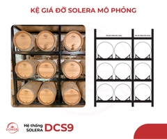 Hệ thống SOLERA - DCS9