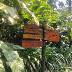 Tour nghỉ dưỡng Melia Ba Vì
