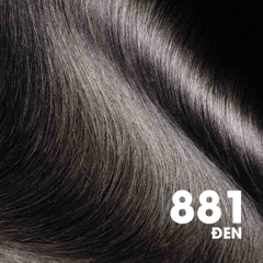 Thuốc Nhuộm Tóc Bigen Xám Speedy Hair Color Conditioner