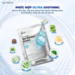 Mặt Nạ Cấp Ẩm Cấp Tốc Dr Wonjin Instant Repair Hyal Moisture Solution 30ml