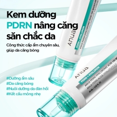 Kem Dưỡng Ẩm Anua PDRN Hyaluronic Acid 100 Moisturizing Cream 60ml