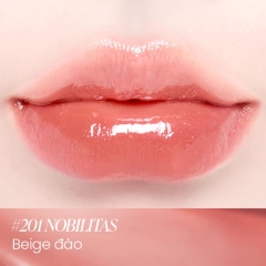 Son Kem Bóng Thuần Chay Dinto Blur Glowy Lip Tint 3,5g