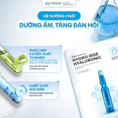 Mặt Nạ Truyền HA Wonjin Effect Hydro Rise Hyaluronic Concentrated Essence Mask (Mẫu Mới)