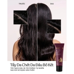 Tẩy Tế Bào Chết Da Đầu Bồ Kết Cocoon Gleditsia Scalp Scrub 200ml