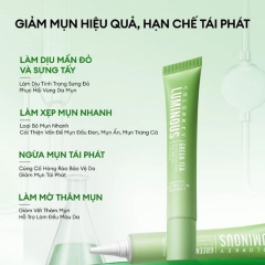 Kem Giảm Mụn Chiết Xuất Trà Xanh Colorkey Luminous Green Tea Purifying Acne Treatment 20g