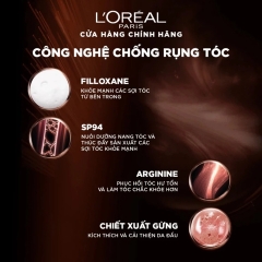 Bộ Dầu Gội Xả Ngăn Rụng Tóc L'oreal Full Resist Purifying 440ml