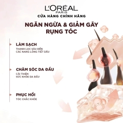 Bộ Dầu Gội Xả Ngăn Rụng Tóc L'oreal Full Resist Purifying 440ml