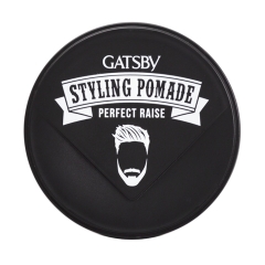 Wax Tạo Kiểu Tóc Gatsby Perfect Raise 75g