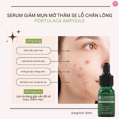 Tinh Chất Trị Mụn Caryophy Giảm Mụn Mờ Thâm Se Lỗ Chân Lông Portulaca Ampoule 30ml