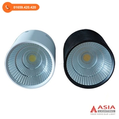 Đèn trần nổi tròn 10W đổi màu vỏ đen/trắng Asia Lighting (OBT10-DM/OBD10-DM)