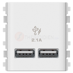 Ổ cắm sạc USB 2.1A đôi màu trắng Concept - Schneider (3032USB_WE)