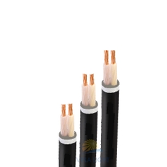 Cáp Cu/XLPE/PVC 2x25 Trần Phú