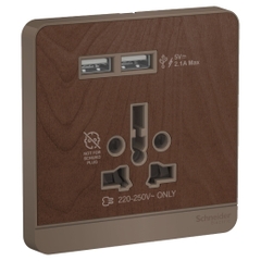 Bộ ổ cắm đa năng và sạc USB đôi màu gỗ AvatarOn - Schneider (E8342616USB_WD)