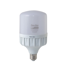 Bóng đèn LED Bulb Trụ 30W Rạng Đông (TR100N1/30W.H)