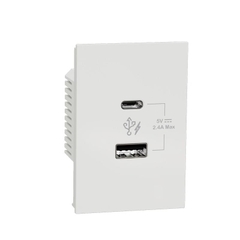 Ổ sạc USB type A+C, 2.4A, size 2S  AvatarOn A Schneider (M3T_USB2_WE)