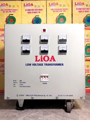 Biến áp đổi nguồn hạ áp 3P-30kVA (loại tự ngẫu)