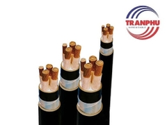 Cáp Cu/XLPE/PVC 4x6 Trần Phú