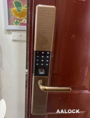 Khóa cửa vân tay Bosch ID80 màu vàng