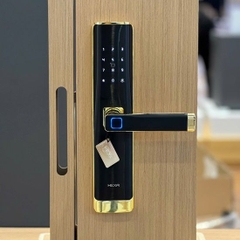 Khóa cửa Hexa L100 đen vàng 24K, chống nước