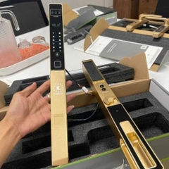 Khóa nhận diện khuôn mặt cửa nhôm Kassler KL-599 CNC 02 Champagne gold