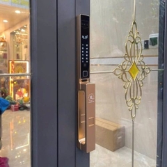 Khóa cửa thông minh face ID Kassler KL-599 CNC VF Champagne gold