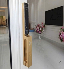 Khóa cửa thông minh face ID Kassler KL-599 CNC VF Champagne gold
