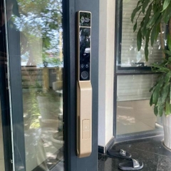 Khoá vân tay cửa nhôm Kassler KL-599 Pro Gold, mobile app