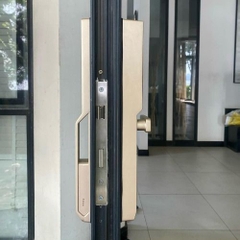 Khoá vân tay cửa nhôm Kassler KL-599 Pro Gold, mobile app