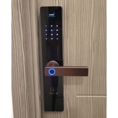 Khoá vân tay Kassler KL-608 CNC Copper mobile app wifi