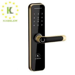 Khóa cửa vân tay chống nước Kassler KL-668 Gold app wifi