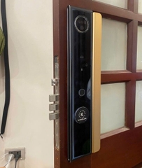 Khóa cửa phong thủy Kassler KL-808 CNC Màu vàng