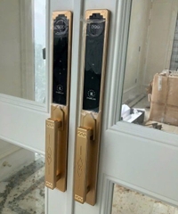 Khoá cửa thông minh Face ID Kassler KL-968 CNC Gold, app wifi