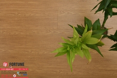 SÀN GỖ Fortune Aqua809