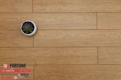 SÀN GỖ Fortune Aqua909