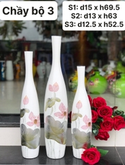 chầy bộ 3 ( sen bạc )