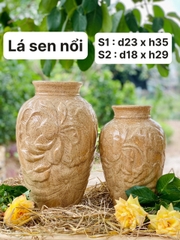 lá sen nổi