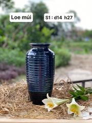 Loe múi