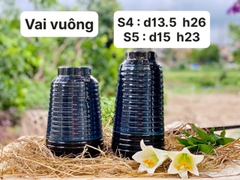 Vai vuông