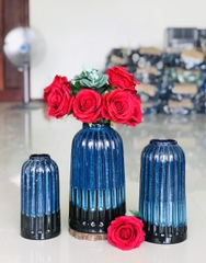 bộ 3 lọ lồng chim