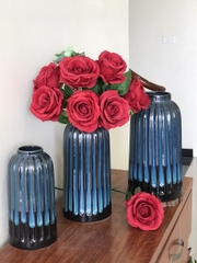 bộ 3 lọ lồng chim