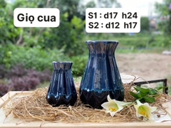 Bình Giọ cua