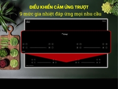 Bếp từ đôi Canzy CZ-I36912C