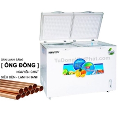 Tủ đông Hòa Phát 300l HCF 656S2D2 dàn đồng 2 ngăn đông mát