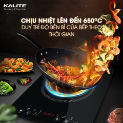 Bếp từ đơn Kalite KLI6600