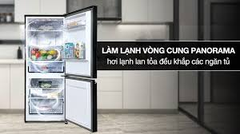 Tủ lạnh Panasonic inverter 2 cánh dung tích 251 lít NR-SP275CPSV (model 2024)