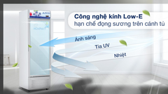 Tủ mát Hoà Phát 280 lít HSR D6280     