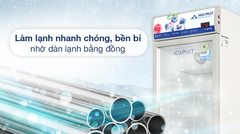 Tủ mát Hoà Phát 280 lít HSR D6280     