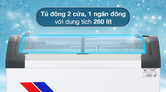 Tủ đông Sanaky VH-3899KB 280 lít kính trong