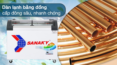 Tủ đông Sanaky VH-3899KB 280 lít kính trong
