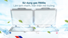 Tủ đông Sanaky 280 lít 1 ngăn đông, 1 ngăn mát TD VH4099W2KD